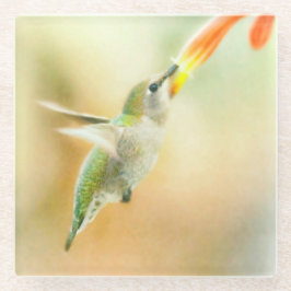 Hummingbird in Early Morning light Glazen Onderzetter