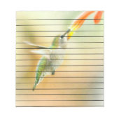 Hummingbird in Early Morning light Notitieblok (Voorkant)