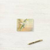 Hummingbird in Early Morning light Post-it® Notes (Op bureau)