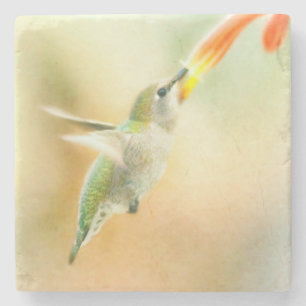 Hummingbird in Early Morning light Stenen Onderzetter