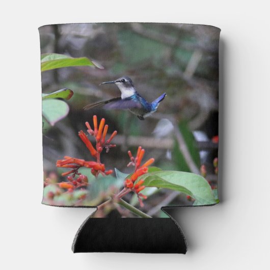 Hummingbird in Flight and Red Flowers Blikjeskoeler (Achterkant)