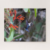 Hummingbird in Flight and Red Flowers Legpuzzel (Horizontaal)