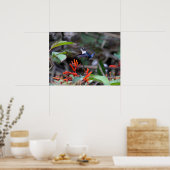 Hummingbird in Flight and Red Flowers Poster (Keuken)