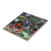 Hummingbird in Flight and Red Flowers Tegeltje (Zijkant)