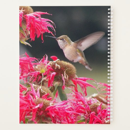 Hummingbird in Flight Foto Planner (Achterkant)