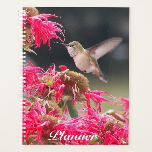 Hummingbird in Flight Foto Planner (Voorkant)