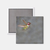 Hummingbird in Flight Magnet (Voorkant / Achterkant)