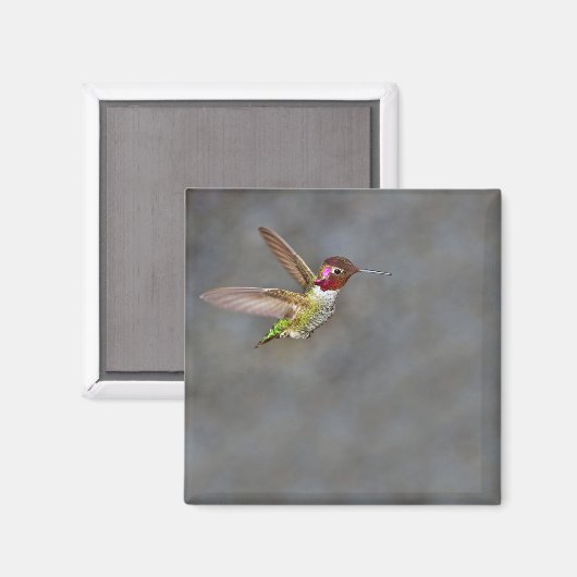 Hummingbird in Flight Magnet (Voorkant / Achterkant)
