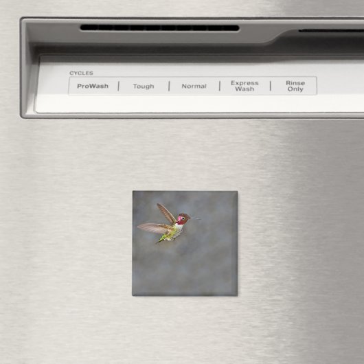 Hummingbird in Flight Magnet (Insitu (Vaatwasser))