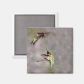 Hummingbird in Flight Magnet (Voorkant / Achterkant)