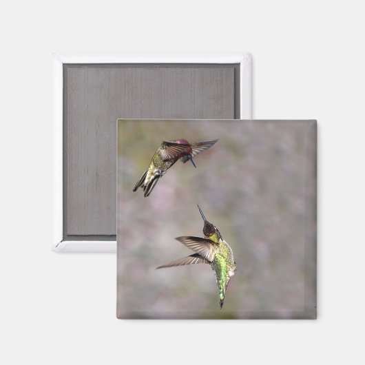Hummingbird in Flight Magnet (Voorkant / Achterkant)