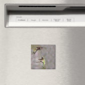 Hummingbird in Flight Magnet (Insitu (Vaatwasser))