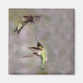 Hummingbird in Flight Magnet