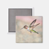 Hummingbird in Flight Magnet (Voorkant / Achterkant)