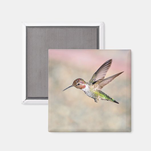 Hummingbird in Flight Magnet (Voorkant / Achterkant)