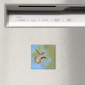 Hummingbird in Flight Magnet (Insitu (Vaatwasser))