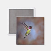 Hummingbird in Flight Magnet (Voorkant / Achterkant)