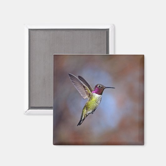 Hummingbird in Flight Magnet (Voorkant / Achterkant)