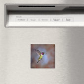 Hummingbird in Flight Magnet (Insitu (Vaatwasser))