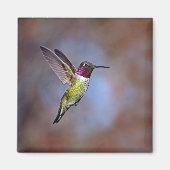 Hummingbird in Flight Magnet (Voorkant)