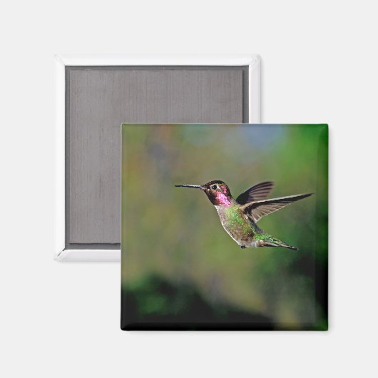 Hummingbird in Flight Magnet (Voorkant / Achterkant)