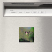 Hummingbird in Flight Magnet (Insitu (Vaatwasser))