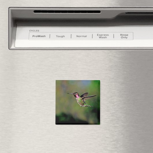 Hummingbird in Flight Magnet (Insitu (Vaatwasser))