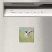 Hummingbird in Flight Magnet (Insitu (Vaatwasser))