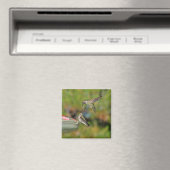 Hummingbird in Flight Magnet (Insitu (Vaatwasser))