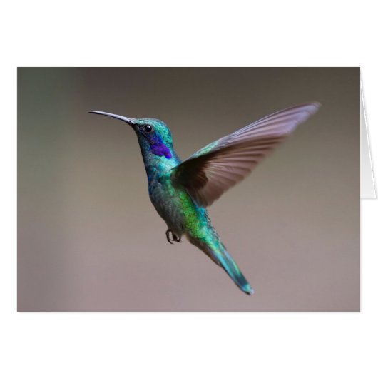 Hummingbird in Flight Note Kaart (Voorkant Horizontaal)