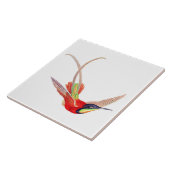 Hummingbird in Flight Tegeltje (Zijkant)
