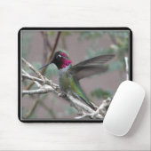 Hummingbird In My Backyard. Muismat (Met muis)