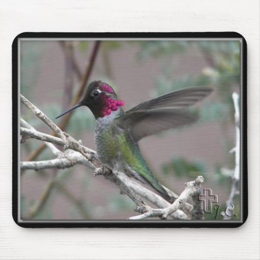 Hummingbird In My Backyard. Muismat (Voorkant)