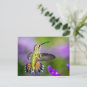 Hummingbird in Purple Flowers Briefkaart (Staand voorkant)