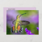Hummingbird in Purple Flowers Briefkaart (Voorkant / Achterkant)