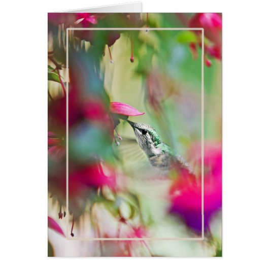 Hummingbird in Soft Fuchsia Vertical. (Voorkant)