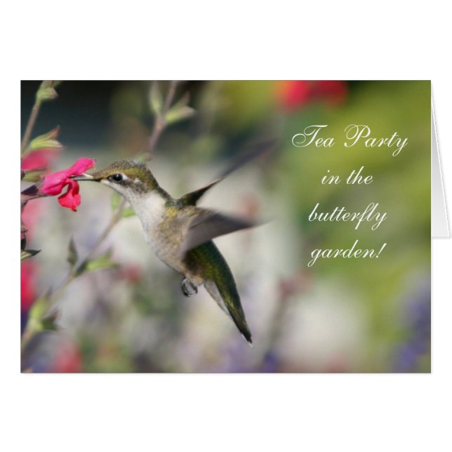 Hummingbird in vlucht (Voorkant Horizontaal)