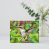 Hummingbird in vlucht briefkaart (Staand voorkant)