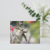 Hummingbird in vlucht briefkaart (Staand voorkant)
