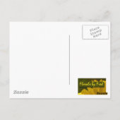 Hummingbird in vlucht briefkaart (Achterkant)