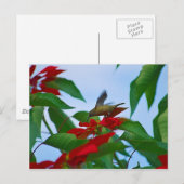 Hummingbird in vlucht briefkaart (Voorkant / Achterkant)