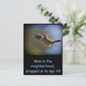 Hummingbird in vlucht briefkaart (Staand voorkant)