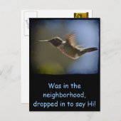 Hummingbird in vlucht briefkaart (Voorkant / Achterkant)