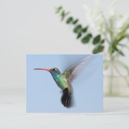 Hummingbird in vlucht briefkaart (Staand voorkant)
