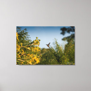 Hummingbird in vlucht canvas afdruk