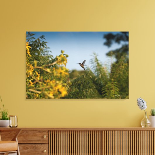 Hummingbird in vlucht canvas afdruk (Insitu (Woonkamer))
