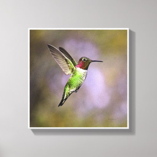 Hummingbird in vlucht canvas afdruk (Voorkant)