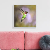 Hummingbird in vlucht canvas afdruk (Insitu (Woonkamer))