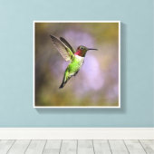 Hummingbird in vlucht canvas afdruk (Insitu (Houten vloer))