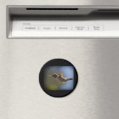 Hummingbird in vlucht magneet (Insitu (Vaatwasser))